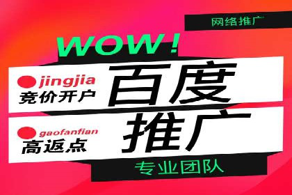 行业内的SEM竞价策略与效果对比案例
